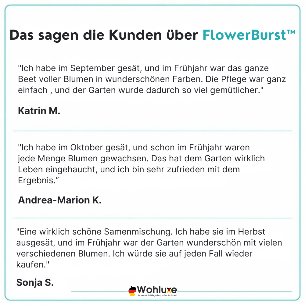 FlowerBurst™ | Säen Sie jetzt und freuen Sie sich auf den Frühling