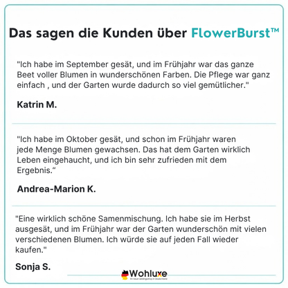 FlowerBurst™ | Säen Sie jetzt und freuen Sie sich auf den Frühling