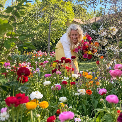 FlowerBurst™ | Säen Sie jetzt und freuen Sie sich auf den Frühling